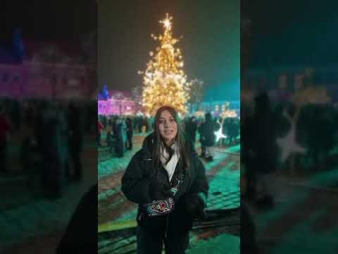 my visa